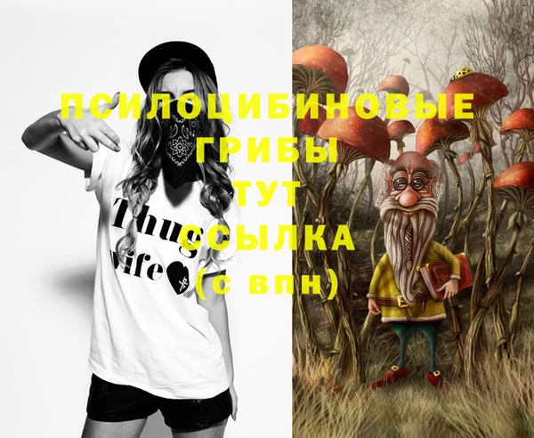дурь Тутаев