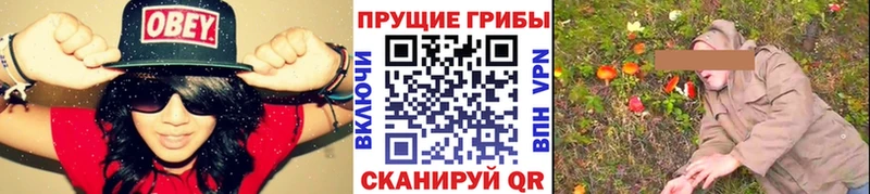 Галлюциногенные грибы GOLDEN TEACHER даркнет сайт Щигры